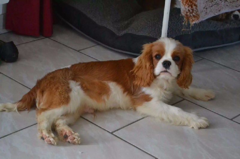 CH. Just my imagination Des Précieuses Pierres