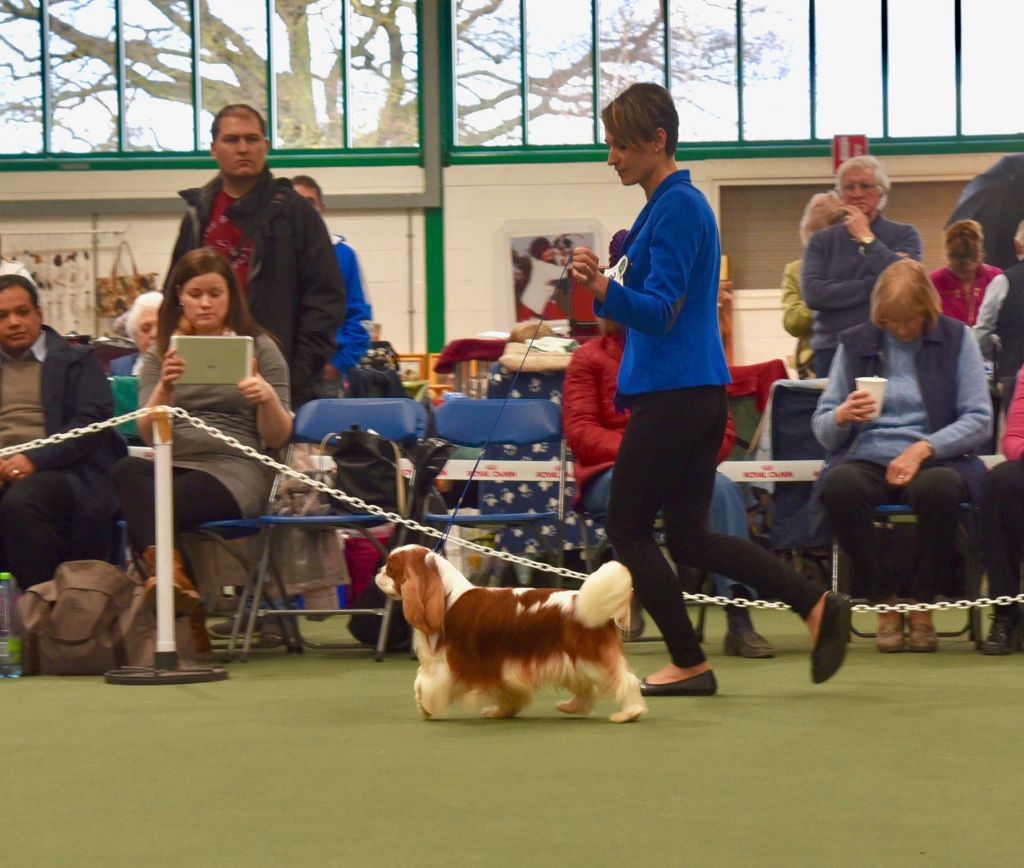 CH. Just my imagination Des Précieuses Pierres