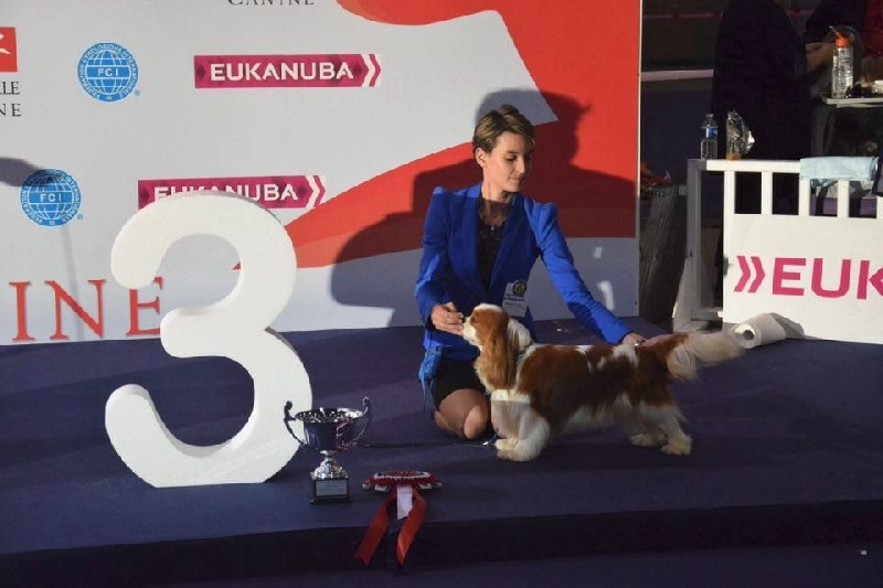 CH. Just my imagination Des Précieuses Pierres