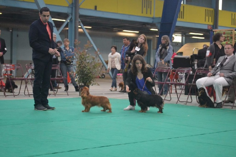 Imagine Des Précieuses Pierres