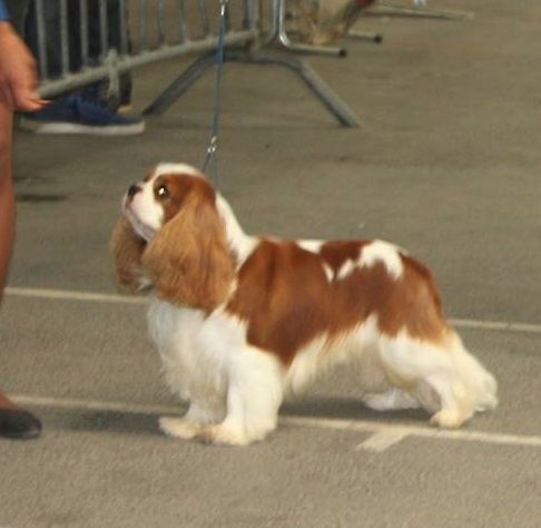 CH. Just my imagination Des Précieuses Pierres