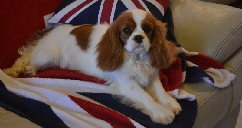 L'histoire d'amour Des Précieuses Pierres