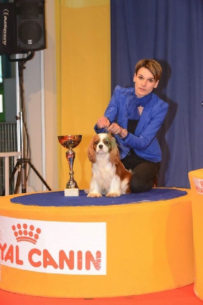 CH. Just my imagination Des Précieuses Pierres - 1er Exc + MEILLEUR JEUNE + MEILLEUR DE RACE