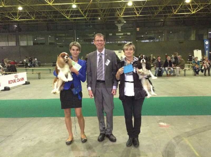 CH. Heart of speed Des Précieuses Pierres - 1er Exc + CACS + CACIB + BOB