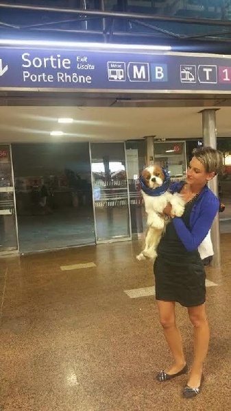 CH. Just my imagination Des Précieuses Pierres - 2ème Exc + RCACS + RCACIB