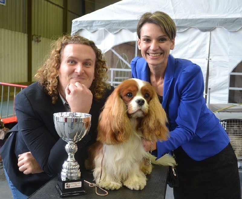 CH. Heart of speed Des Précieuses Pierres - 1er Excellent + CACS