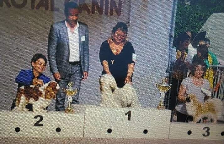 CH. Just my imagination Des Précieuses Pierres - 1er Exc + Meilleur Jeune + Meilleur de Race