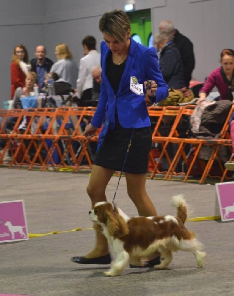 CH. Just my imagination Des Précieuses Pierres - 1er Exc + CACS + RCACIB