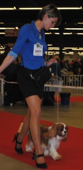 CH. Heart of speed Des Précieuses Pierres - 1er Excellent + Meilleur Jeune Mâle