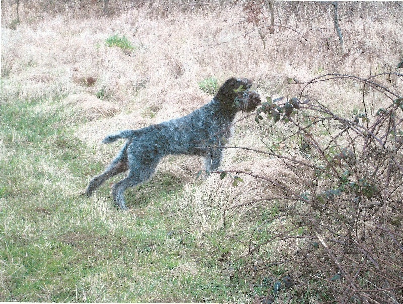 Publication : Du Vergers En Friche