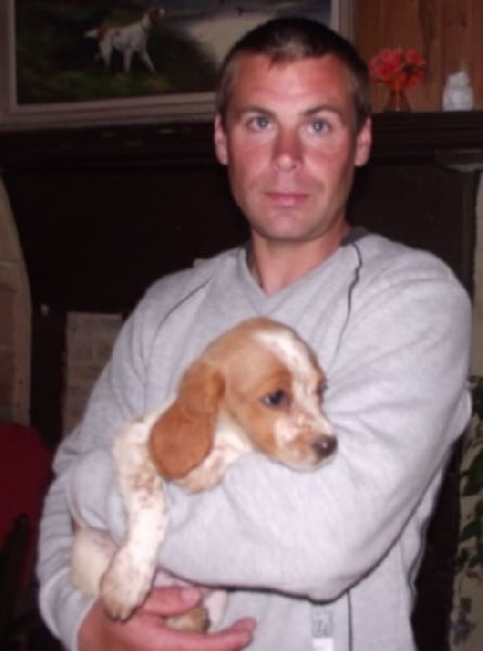 Publication : Des Terres D'alicia Auteur : morgane enault