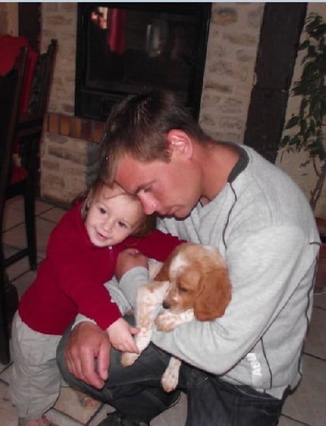 Publication : Des Terres D'alicia Auteur : morgane enault