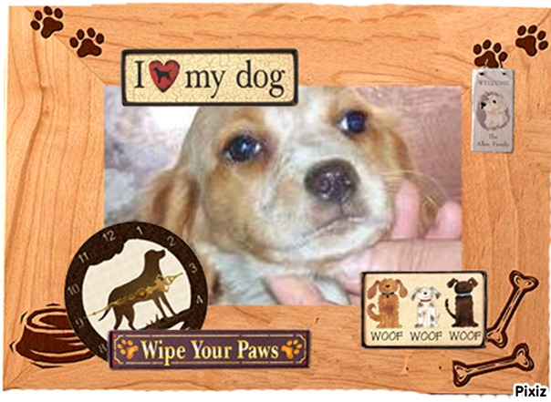 Publication : Des Terres D'alicia Auteur : morgane enault