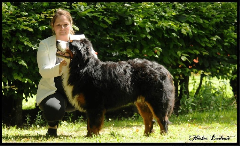Jambonneau Des Terres D'alicia - 2EME EXCELLENT + RCACS