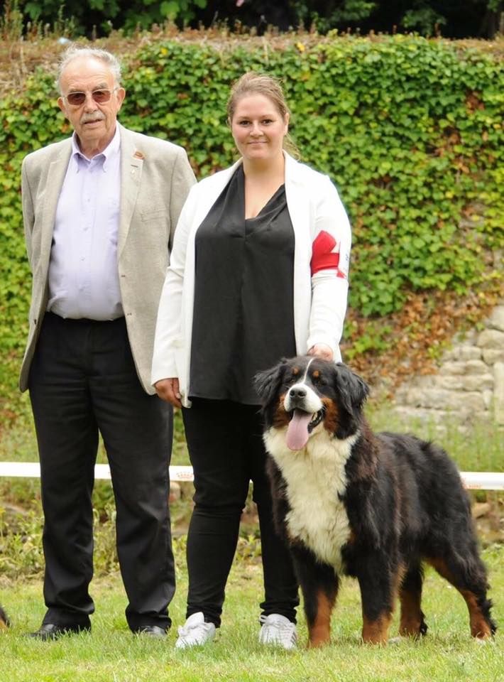 Guimauve Des Terres D'alicia - 1ER EXCELLENT + CACS + MEILLEUR DE SEXE OPPOSE