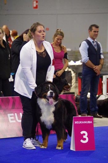 Guimauve Des Terres D'alicia - 3EME EXCELLENT : CHAMPIONNAT DE FRANCE