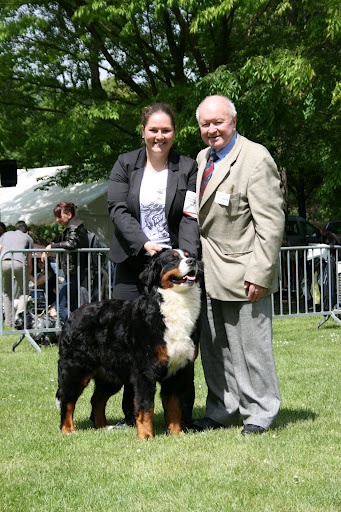 Framboise des Nuits Celtiques - 1ère Excellent + CACS + Meilleur de Race