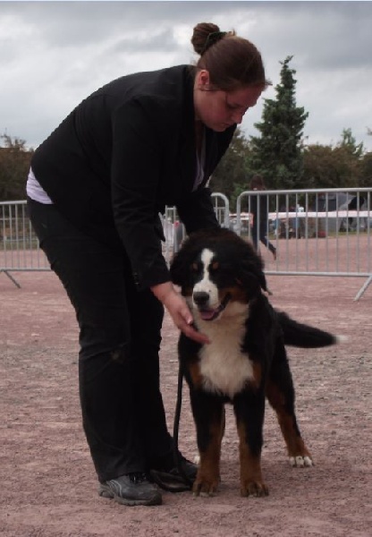 Framboise des Nuits Celtiques - 1ère Très Prometteur + Meilleur Puppy