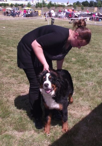 Framboise des Nuits Celtiques - 1ère Très Prometteur