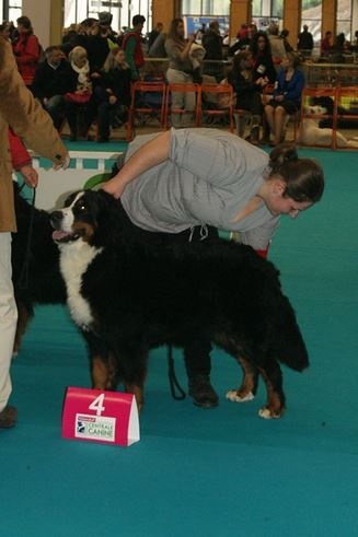 Framboise des Nuits Celtiques - 4ème Excellent