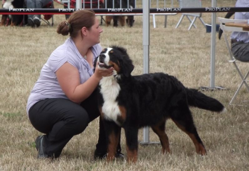 Framboise des Nuits Celtiques - 3ème Très Prometteur