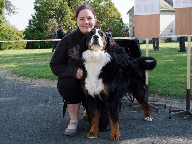 Framboise des Nuits Celtiques - Très Bon