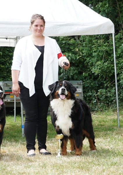 Guimauve Des Terres D'alicia - 1ère Excellent + CACS + Meilleur de Race