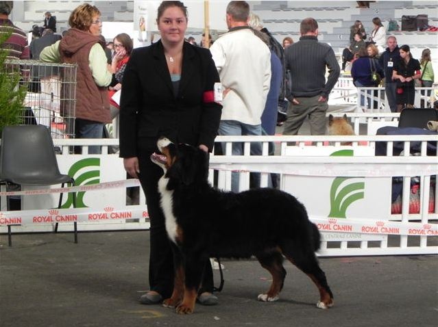 Framboise des Nuits Celtiques - 1ère Exc+Meilleur Jeune+2ème du groupe 2