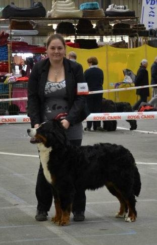 Framboise des Nuits Celtiques - Excellent Spéciale de Race