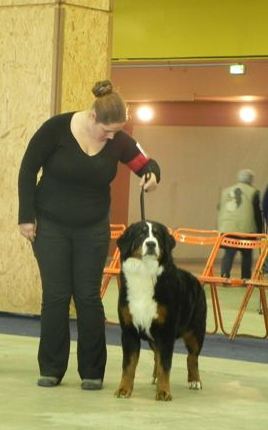 Framboise des Nuits Celtiques - 2ème Excellent