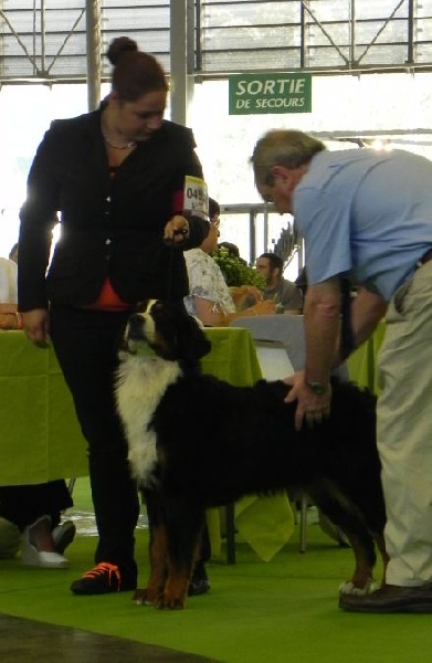 Framboise des Nuits Celtiques - Excellent