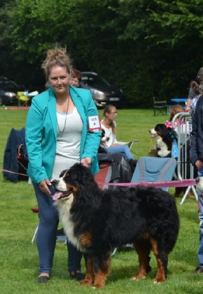 Jambonneau Des Terres D'alicia - TRES BON