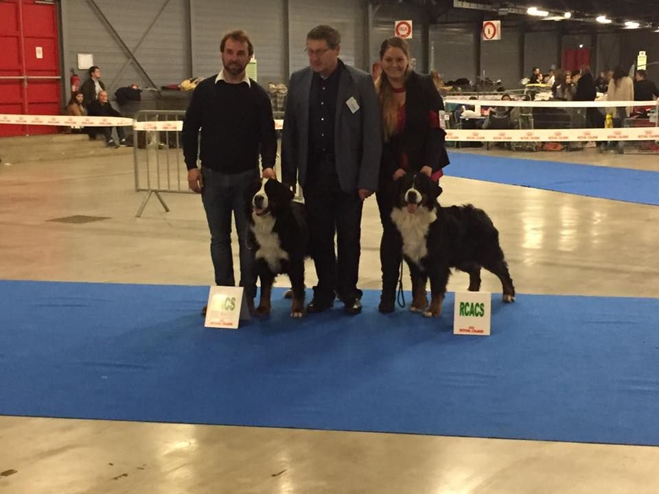 Guimauve Des Terres D'alicia - 2EME EXCELLENT + RCACS