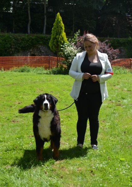 Framboise des Nuits Celtiques - 2EME EXCELLENT + RCACS