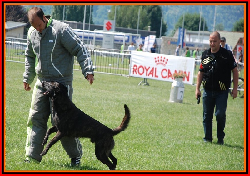 Publication : De La Horde D'hades Auteur : La Horde d'Hades