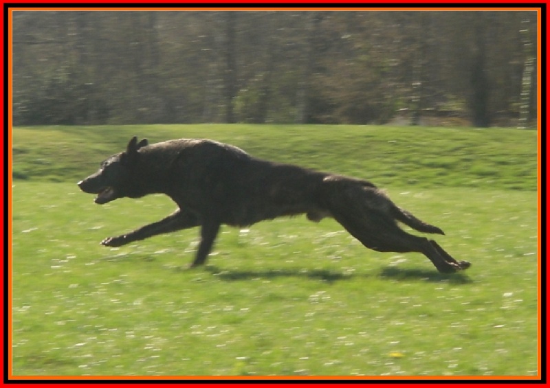 Publication : De La Horde D'hades Auteur : La Horde d'Hades