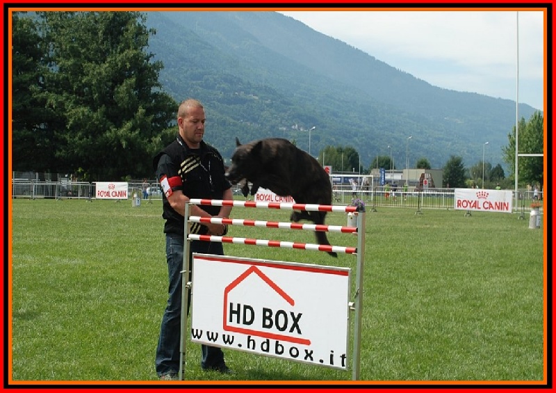 Publication : De La Horde D'hades Auteur : La Horde d'Hades