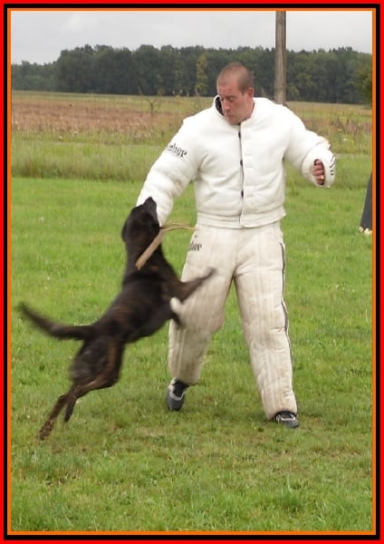 Publication : De La Horde D'hades Auteur : La Horde d'Hades