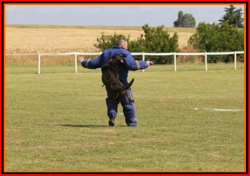 Publication : De La Horde D'hades Auteur : La Horde d'Hades