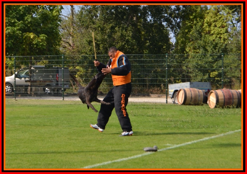 Publication : De La Horde D'hades Auteur : La Horde d'Hades