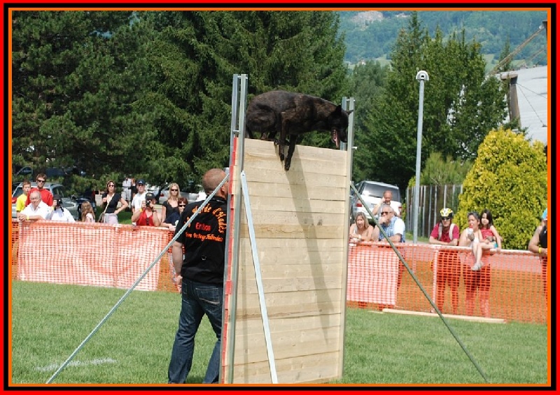 Publication : De La Horde D'hades Auteur : La Horde d'Hades