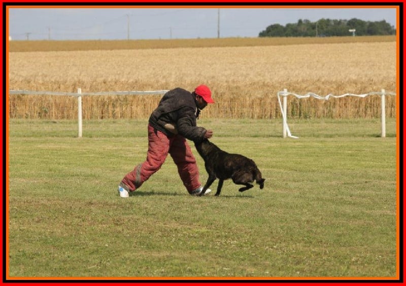 Publication : De La Horde D'hades Auteur : La Horde d'Hades