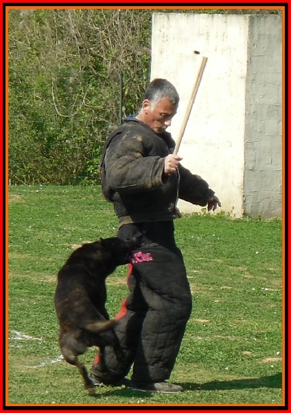 Publication : De La Horde D'hades Auteur : La Horde d'Hades