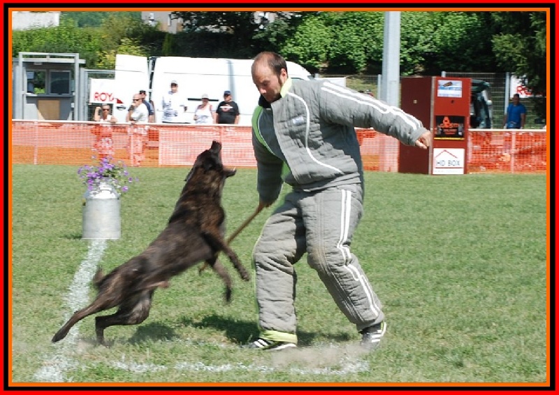 Publication : De La Horde D'hades Auteur : La Horde d'Hades