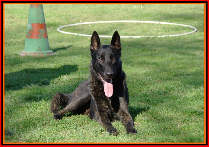 Publication : De La Horde D'hades Auteur : La Horde d'Hades