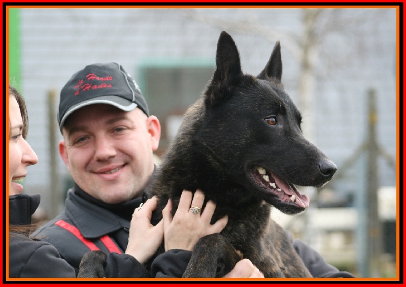 Publication : De La Horde D'hades Auteur : La Horde d'Hades