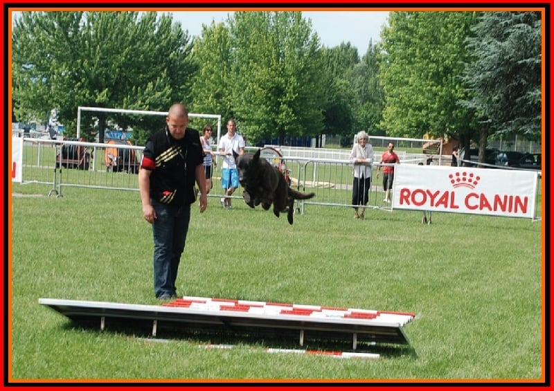 Publication : De La Horde D'hades Auteur : La Horde d'Hades