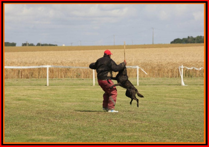 Publication : De La Horde D'hades Auteur : La Horde d'Hades