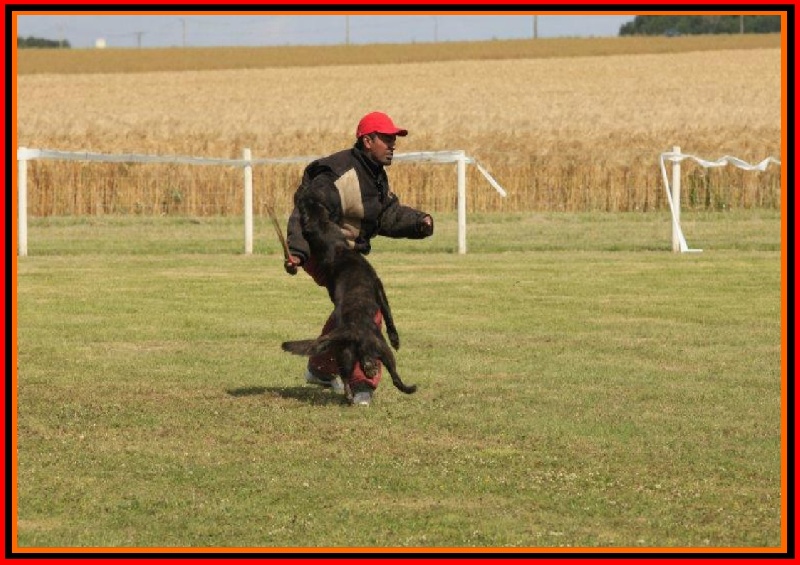 Publication : De La Horde D'hades Auteur : La Horde d'Hades