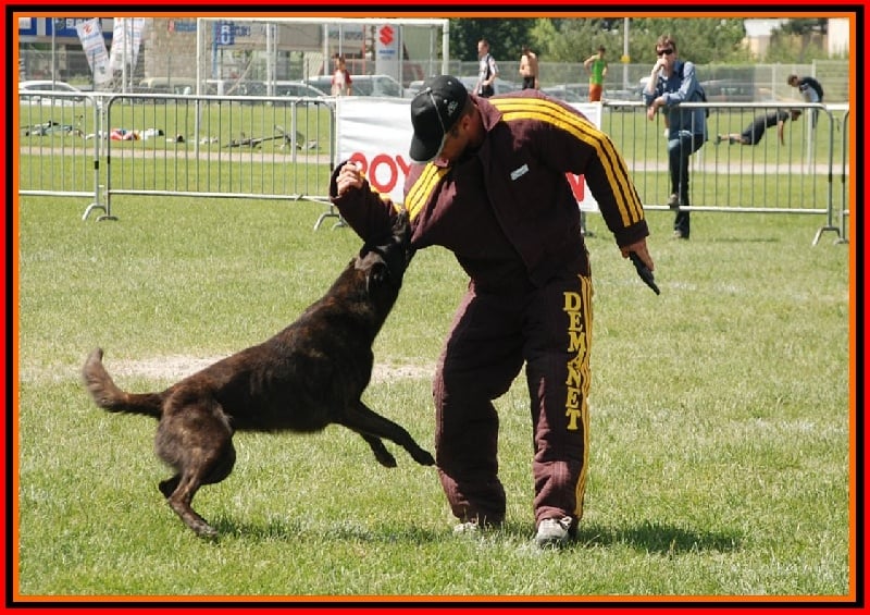 Publication : De La Horde D'hades Auteur : La Horde d'Hades